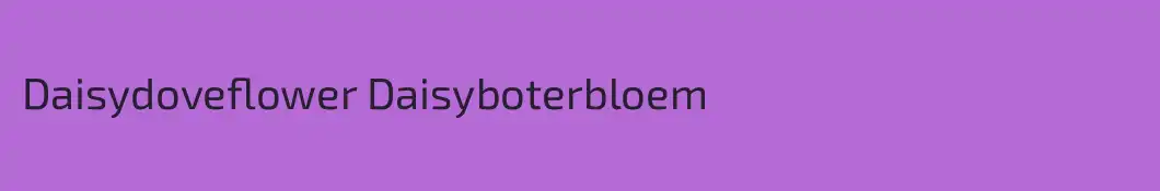 Daisydoveflower Daisyboterbloem